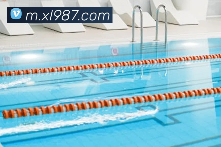 奖项证书